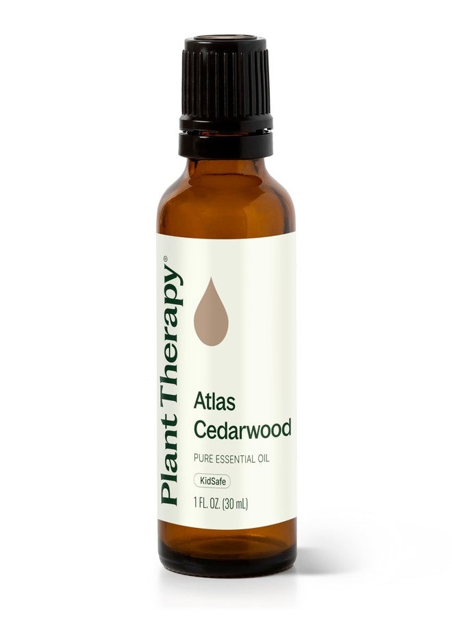 Plant Therapy Atlas Cedarwood Essential Oil 30 mL (1 oz) 100% Pure, Undiluted, Therapeutic Grade - Image 1